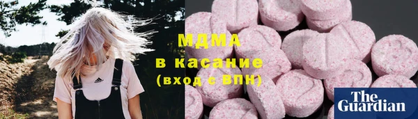 сатива Ельня
