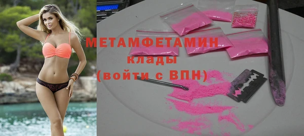сатива Ельня