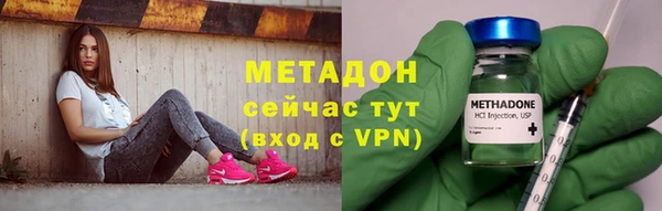 сатива Ельня