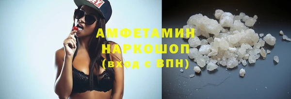 сатива Ельня