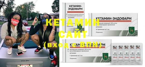 сатива Ельня